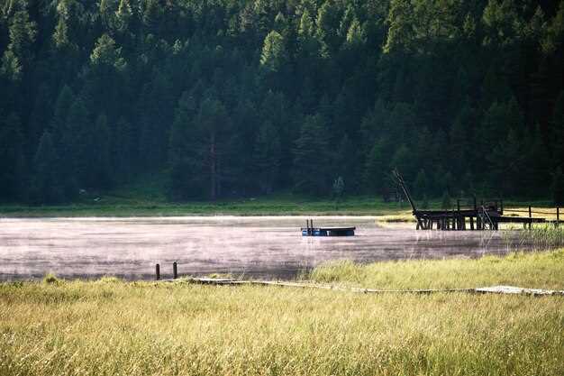 Роль Волги в развитии городов и селений